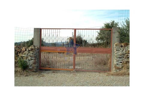 Helårsgrund i Penafiel, Porto, Penafiel - € 110.000 | Ref: 1893/10 - foto 4