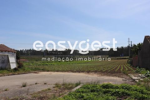 Helårsgrund i Pombal, Leiria, Pombal - € 200.000 | Ref: LE83492LE - foto 2
