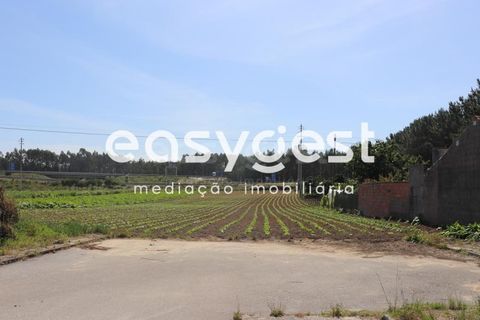 Helårsgrund i Pombal, Leiria, Pombal - € 200.000 | Ref: LE83492LE - foto 3