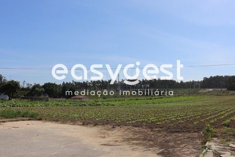Helårsgrund i Pombal, Leiria, Pombal - € 200.000 | Ref: LE83492LE - foto 4