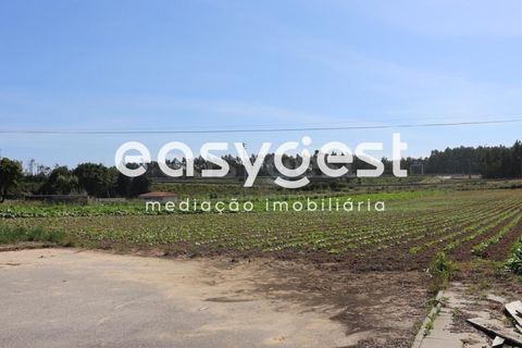 Helårsgrund i Pombal, Leiria, Pombal - € 200.000 | Ref: LE83492LE - foto 6