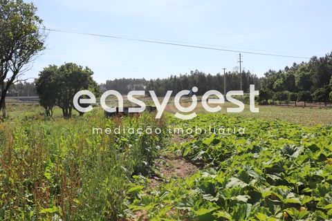 Helårsgrund i Pombal, Leiria, Pombal - € 200.000 | Ref: LE83492LE - foto 10