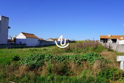 Helårsgrund i Alcobaca, Leiria, Alcobaca - € 20.000 | Ref: S4U123-V16 - foto 2