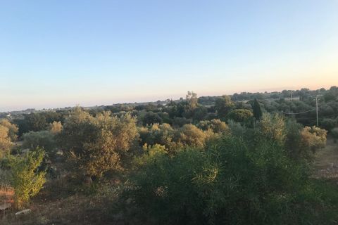 Landejendom i Ostuni, Brindisi, Ostuni - € 140.000 | Ref: 128 - foto 11