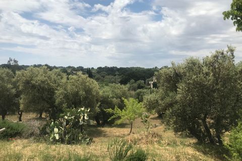 Landejendom i Ostuni, Brindisi, Ostuni - € 140.000 | Ref: 128 - foto 13