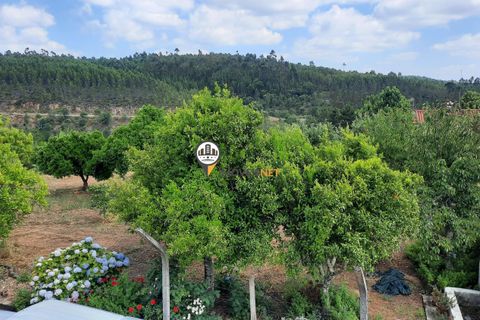 Villa a Proenca-a-Nova, Castelo Branco, Proenca-a-Nova - € 350.000 | Ref: 2343 - foto 49