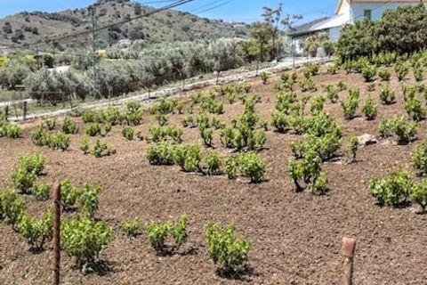 Villa a Comares, Malaga, Comares - € 79.000 | Ref: ID3874 - foto 12