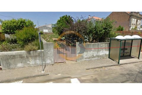 Helårsgrund i Ovar, Aveiro, Ovar - € 55.000 | Ref: T/0745 - foto 2