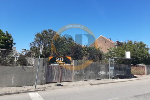 Helårsgrund i Ovar, Aveiro, Ovar - € 55.000 | Ref: T/0745 - foto 3