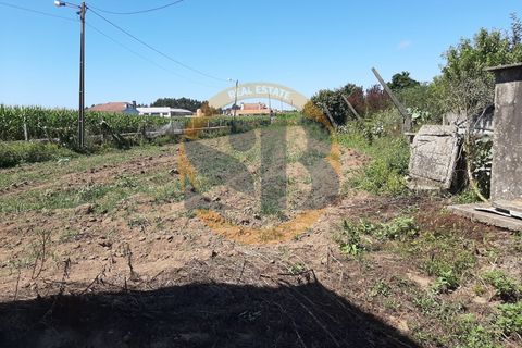 Helårsgrund i Ovar, Aveiro, Ovar - € 55.000 | Ref: T/0745 - foto 6