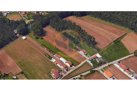 Helårsgrund i Ovar, Aveiro, Ovar - € 70.000 | Ref: T/0748 - foto 2