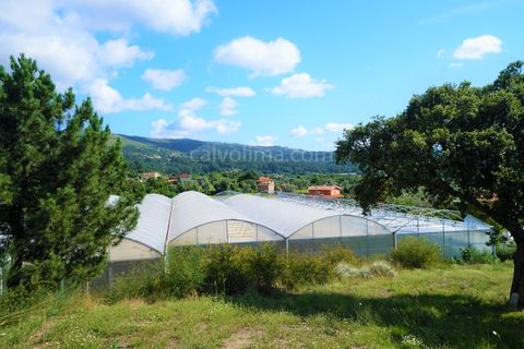 Helårsgrund i Valenca, Viana do Castelo, Valenca - € 250.000 | Ref: 3717 - foto 3