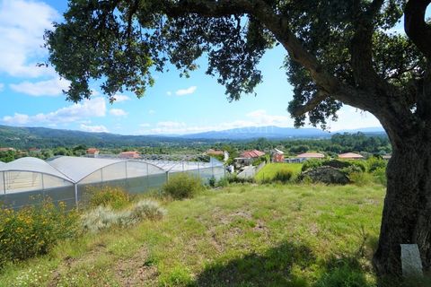 Helårsgrund i Valenca, Viana do Castelo, Valenca - € 250.000 | Ref: 3717 - foto 4