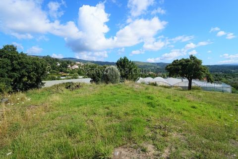 Helårsgrund i Valenca, Viana do Castelo, Valenca - € 250.000 | Ref: 3717 - foto 7
