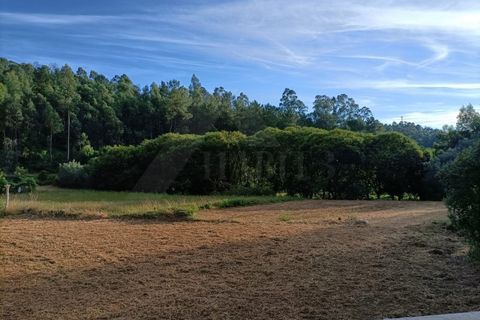 Helårsgrund i Ponte de Lima, Viana do Castelo, Ponte de Lima - € 37.500 | Ref: MDS3582 - foto 1