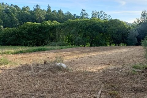 Helårsgrund i Ponte de Lima, Viana do Castelo, Ponte de Lima - € 37.500 | Ref: MDS3582 - foto 3