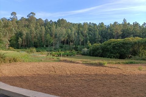 Helårsgrund i Ponte de Lima, Viana do Castelo, Ponte de Lima - € 37.500 | Ref: MDS3582 - foto 4