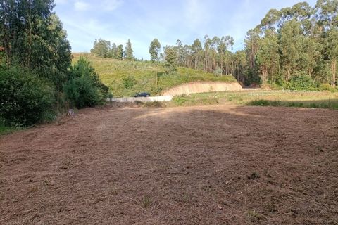 Helårsgrund i Ponte de Lima, Viana do Castelo, Ponte de Lima - € 37.500 | Ref: MDS3582 - foto 5