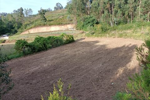 Helårsgrund i Ponte de Lima, Viana do Castelo, Ponte de Lima - € 37.500 | Ref: MDS3582 - foto 6