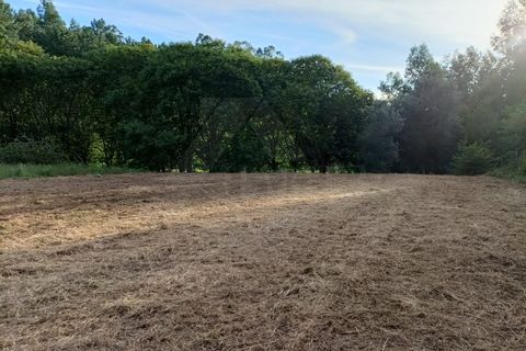 Helårsgrund i Ponte de Lima, Viana do Castelo, Ponte de Lima - € 37.500 | Ref: MDS3582 - foto 7