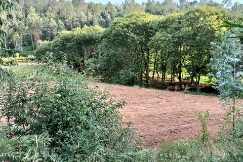Helårsgrund i Ponte de Lima, Viana do Castelo, Ponte de Lima - € 37.500 | Ref: MDS3582 - foto 8