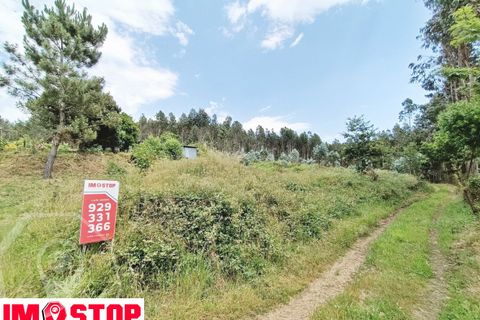 Helårsgrund i Agueda, Aveiro, Agueda - € 30.000 | Ref: 11700 - foto 2
