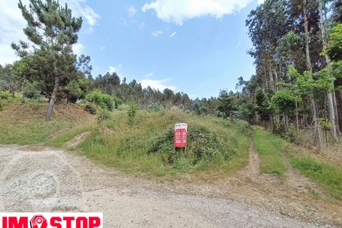Helårsgrund i Agueda, Aveiro, Agueda - € 30.000 | Ref: 11700 - foto 3