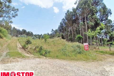 Helårsgrund i Agueda, Aveiro, Agueda - € 30.000 | Ref: 11700 - foto 4