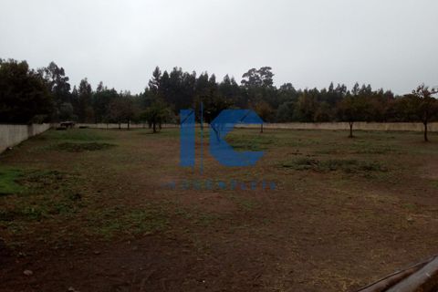 Helårsgrund i Agueda, Aveiro, Agueda - € 105.000 | Ref: 20210600114 - foto 2