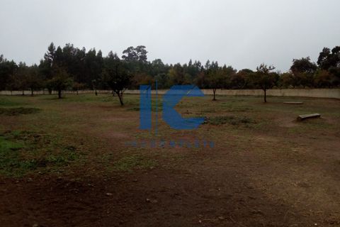 Helårsgrund i Agueda, Aveiro, Agueda - € 105.000 | Ref: 20210600114 - foto 3