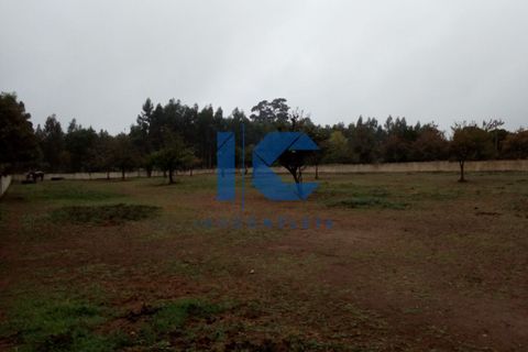 Helårsgrund i Agueda, Aveiro, Agueda - € 105.000 | Ref: 20210600114 - foto 4