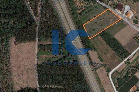 Helårsgrund i Agueda, Aveiro, Agueda - € 105.000 | Ref: 20210600114 - foto 6