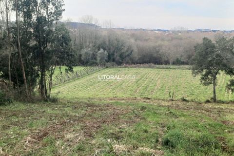 Helårsgrund i Aveiro, Aveiro, Aveiro - € 55.000 | Ref: VEN-3209 - foto 1