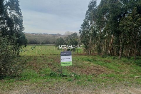 Helårsgrund i Aveiro, Aveiro, Aveiro - € 55.000 | Ref: VEN-3209 - foto 2