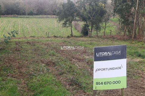 Helårsgrund i Aveiro, Aveiro, Aveiro - € 55.000 | Ref: VEN-3209 - foto 3