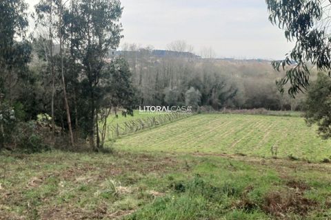 Helårsgrund i Aveiro, Aveiro, Aveiro - € 55.000 | Ref: VEN-3209 - foto 4
