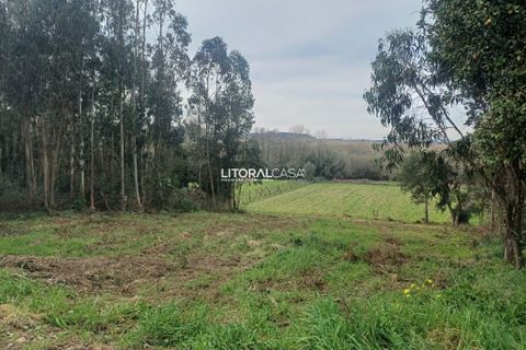 Helårsgrund i Aveiro, Aveiro, Aveiro - € 55.000 | Ref: VEN-3209 - foto 5