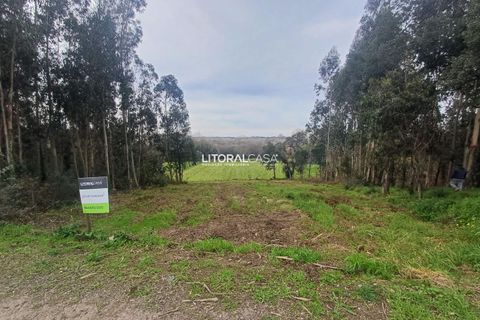Helårsgrund i Aveiro, Aveiro, Aveiro - € 55.000 | Ref: VEN-3209 - foto 6