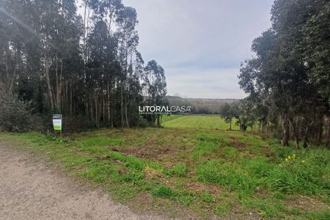 Helårsgrund i Aveiro, Aveiro, Aveiro - € 55.000 | Ref: VEN-3209 - foto 7
