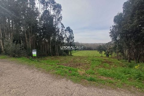 Helårsgrund i Aveiro, Aveiro, Aveiro - € 55.000 | Ref: VEN-3209 - foto 9