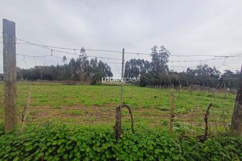 Helårsgrund i Aveiro, Aveiro, Aveiro - € 55.000 | Ref: VEN-3209 - foto 11