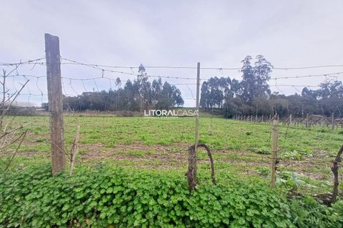 Helårsgrund i Aveiro, Aveiro, Aveiro - € 55.000 | Ref: VEN-3209 - foto 12