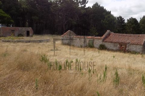 Helårsgrund i Caldas da Rainha, Leiria, Caldas da Rainha - € 599.000 | Ref: RRL-020 - foto 2