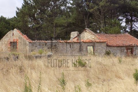 Helårsgrund i Caldas da Rainha, Leiria, Caldas da Rainha - € 599.000 | Ref: RRL-020 - foto 3