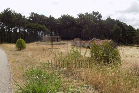 Helårsgrund i Caldas da Rainha, Leiria, Caldas da Rainha - € 599.000 | Ref: RRL-020 - foto 5
