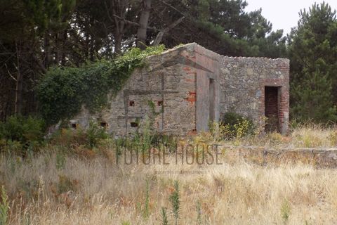Helårsgrund i Caldas da Rainha, Leiria, Caldas da Rainha - € 599.000 | Ref: RRL-020 - foto 6