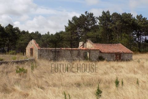 Helårsgrund i Caldas da Rainha, Leiria, Caldas da Rainha - € 599.000 | Ref: RRL-020 - foto 7