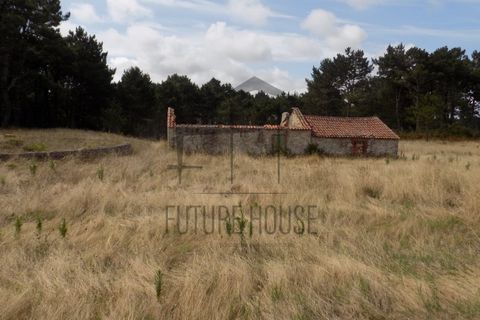 Helårsgrund i Caldas da Rainha, Leiria, Caldas da Rainha - € 599.000 | Ref: RRL-020 - foto 8