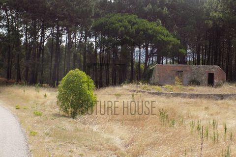Helårsgrund i Caldas da Rainha, Leiria, Caldas da Rainha - € 599.000 | Ref: RRL-020 - foto 9