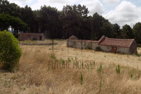 Helårsgrund i Caldas da Rainha, Leiria, Caldas da Rainha - € 599.000 | Ref: RRL-020 - foto 10